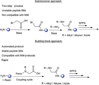 A Rapid and Efficient Building Block Approach for Click Cyclization of Peptoids